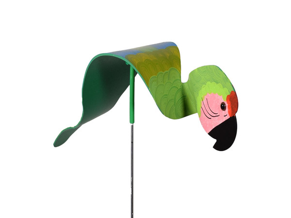 Green Macaw front view