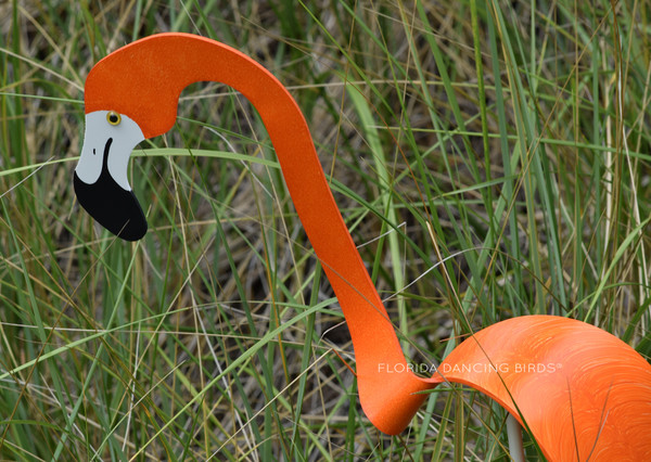 Orange Flamingo Detail