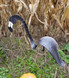 Flamingos dancing garden art that moves with the wind atop 35" stakes, made in Michigan, USA.