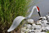 Sandhill Crane dancing garden art that moves with the wind atop a 35" stake, made in Michigan, USA.