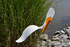 American White Pelican dancing garden art that moves with the wind atop a 35" stake, made in Michigan, USA.