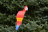 Royal Scarlet Macaw dancing garden art that moves with the wind atop a 35" stake, made in Michigan, USA.