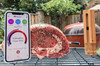 MEATER PLUS - WIRELESS MEAT THERMOMETER - RT3 VERSION