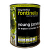 FONTINELLA - YOUNG JACKFRUIT IN WATER - 2.8KG