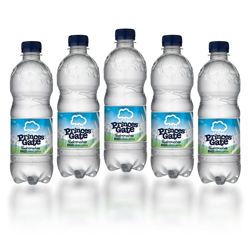 PRINCES GATE STILL WATER 24 x 500ml Infusions Limited