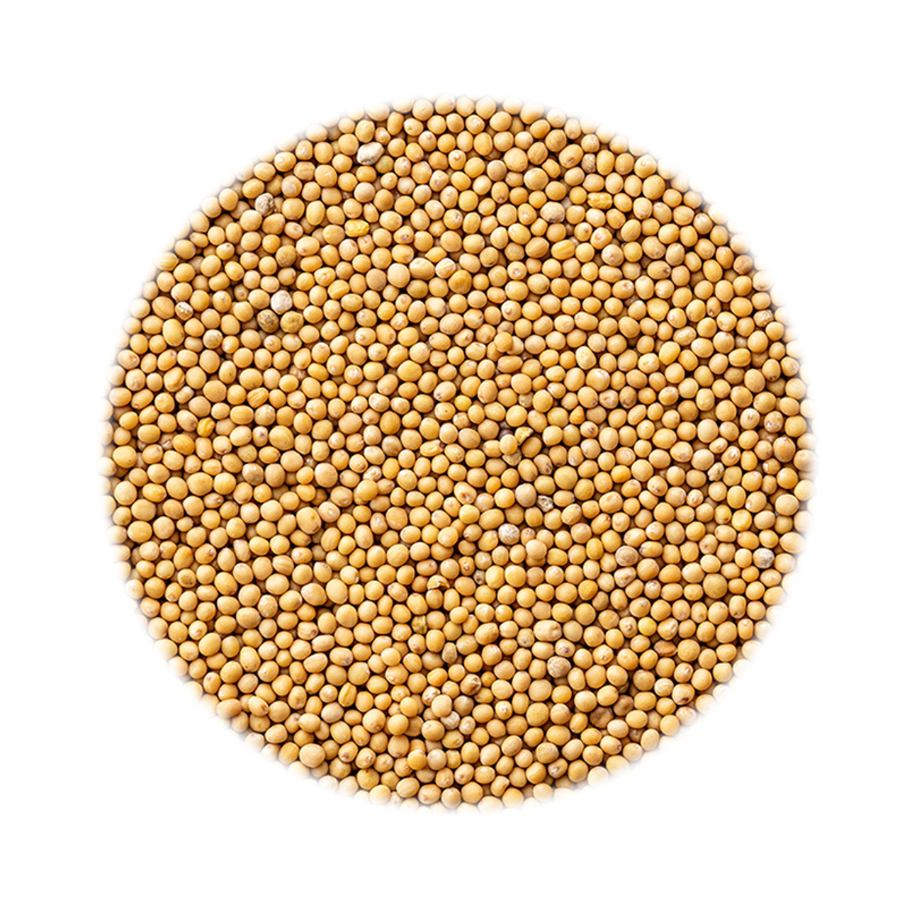 FOX’S SPICES YELLOW MUSTARD SEEDS 850G