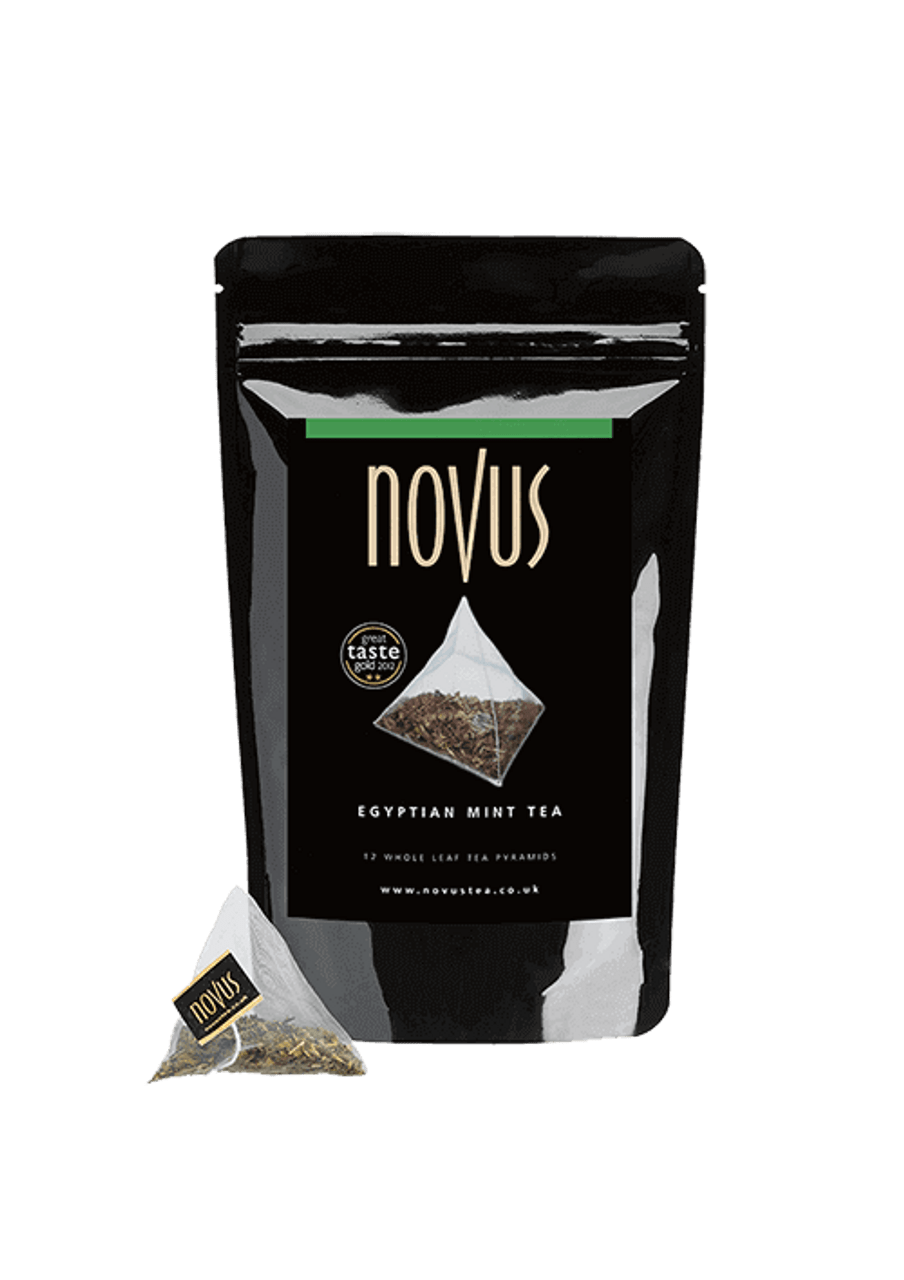 NOVUS EGYPTIAN MINT TEA X 100 PYRAMID