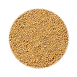 FOX’S SPICES YELLOW MUSTARD SEEDS 850G FOX’S SPICES YELLOW MUSTARD SEEDS 850G