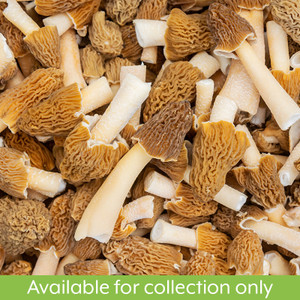 Frozen Morel Mushrooms 1kg Frozen Morel Mushrooms 1kg