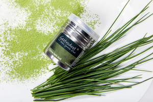 Gastrodust Chive Garnishing Dust 40g Gastrodust Chive Garnishing Dust 40g