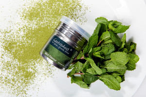 Gastrodust Mint Garnishing Dust 40g Gastrodust Mint Garnishing Dust 40g
