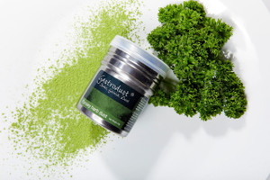 Gastrodust Parsley Garnishing Dust 40g