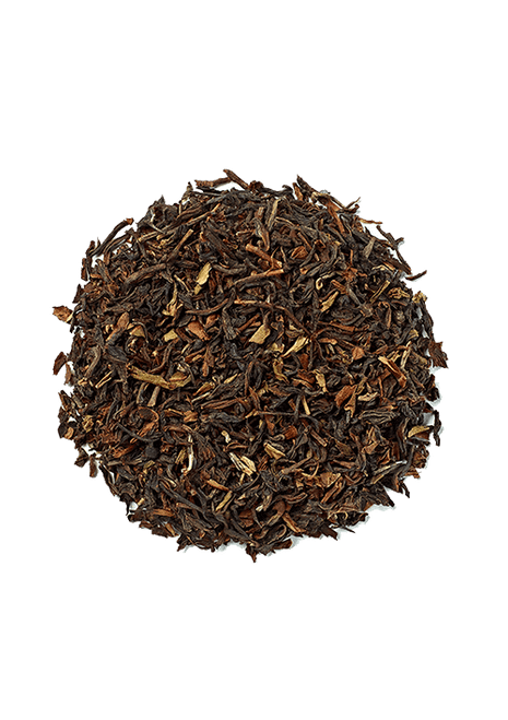 NOVUS DARJEELING ORGANIC TEA X 25 PYRAMID