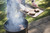 Buy the Pit Barrel Classic Cooker 18.5". A versatile charcoal smoker and grill with vertical hanging cooking for ribs, brisket, burgers, poultry and more.