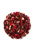 NOVUS - PERSIAN POMEGRANATE TEA 1 x 25 PYRAMID 