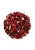 Buy Novus Pomegranate Loose Tea 250g at i4C. Award-winning, caffeine-free fruit infusion with pomegranate, hibiscus and liquorice. Rich and refreshing.