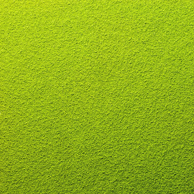 Buy Organic Matcha Tea Powder 100g at online at i4C. Premium green tea powder for matcha lattes, iced drinks, smoothies, baking and desserts.