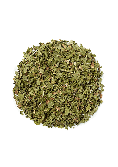 Buy Novus Egyptian Mint Loose Tea 250g at i4C. Award-winning, naturally caffeine-free Egyptian peppermint with a bold, refreshing flavour.
