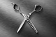 VG10 Blunt and Including 6" 29 Tooth Thinning Shear Set - Select Size