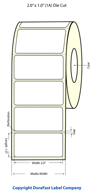 Epson TM-C3400 2" x 1" Matte Polypropylene Labels | Epson Media |Epson Labels | 814026