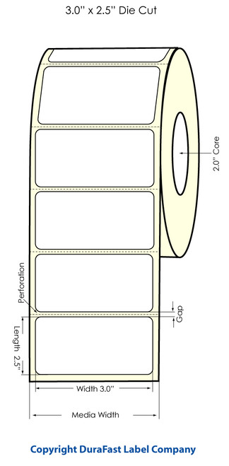 Primera LX400 3"x2.5" High-Gloss Labels | 74708