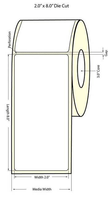 LX810 2"x8" White High Gloss Labels, 300 Labels/roll - 74848