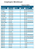 Individual Employee workloads