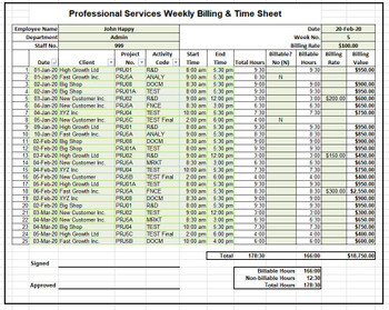 Professional services and projects Excel input timesheet