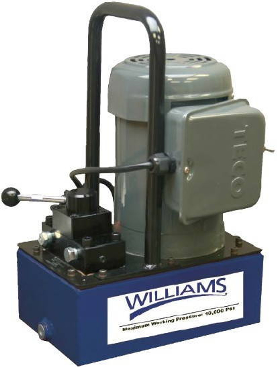 Williams Electric Pump with Pendant Switch - 0.5 HP 1 Gallon - 5E05H1GR