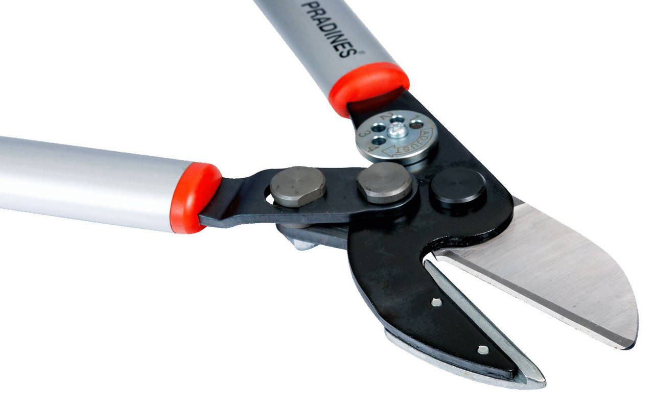 P173-SL-85 132.98 Bahco Pro Torque Tools