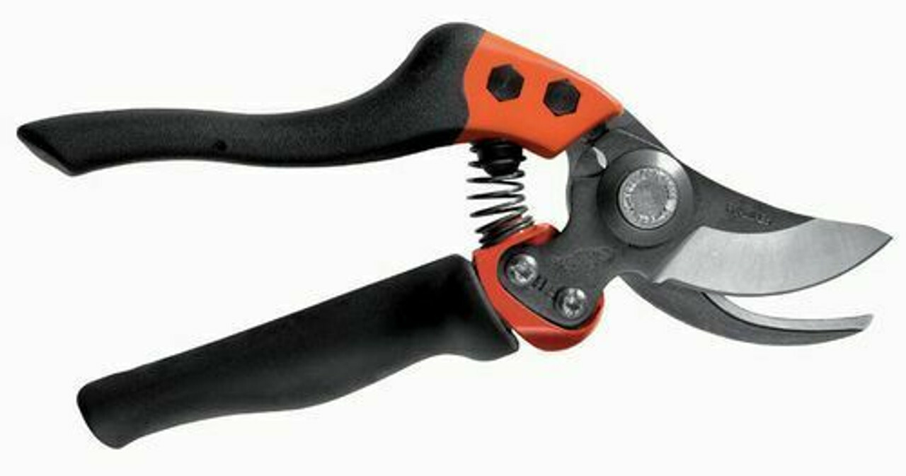 Pruning
