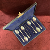 Silver Plated Tea Spoons and Tongs in a fitted Container Set 1 of 2