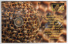 2022 $2 Australian Honey Bee Coin Card