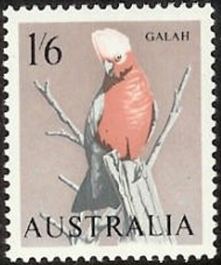 1964 ASC 398 1/6 Galah