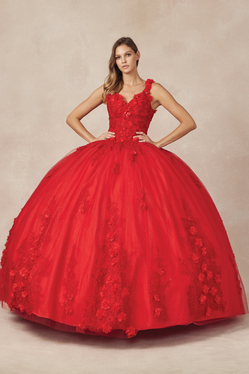 Black/Red Quinceañera dress | Red quinceanera dresses, Black quinceanera  dresses, Red quinceanera dress