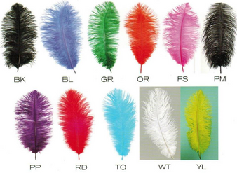 Ostrich Feather Colors