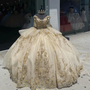  Champagne Quinceanera Dress 