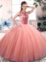 Pink Quinceanera Dress QSYSQD079-9