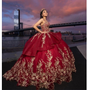 Wine Quinceanera Dress