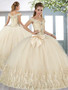 Yellow Quinceanera Dress  QSXFQD1666-6