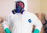 Valuable Tips for Effective Mold Remediation
