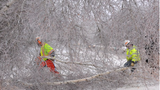 Working in the Storm - Clothing and Equipment to Stay Safe