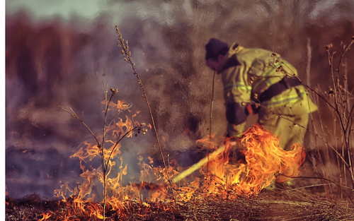 10 Ways to Prevent Wildfires 