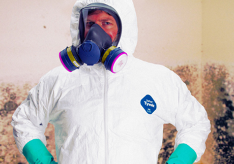 What is the Difference Between Level 1 and Level 2 Mold Remediation?