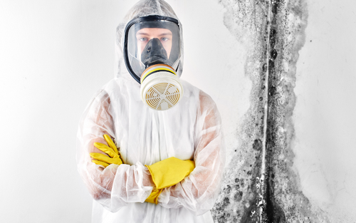 Mold Remediation Fairfield County Mold Removal Ct Llc