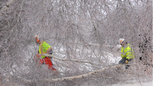 Working in the Storm - Clothing and Equipment to Stay Safe