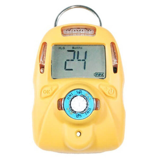 H2S Monitor: Hydrogen Sulfide (H2S) Gas Detector