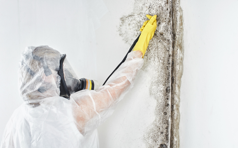 Mold Remediation Saratoga Springs Ny