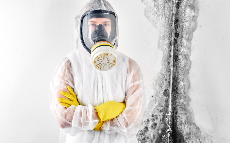 How to Safely Remove Mold - PK Safety Supply