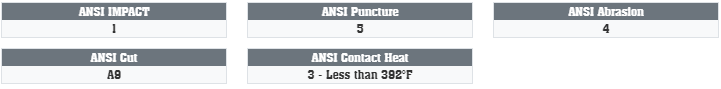 ANSI Performance Scores